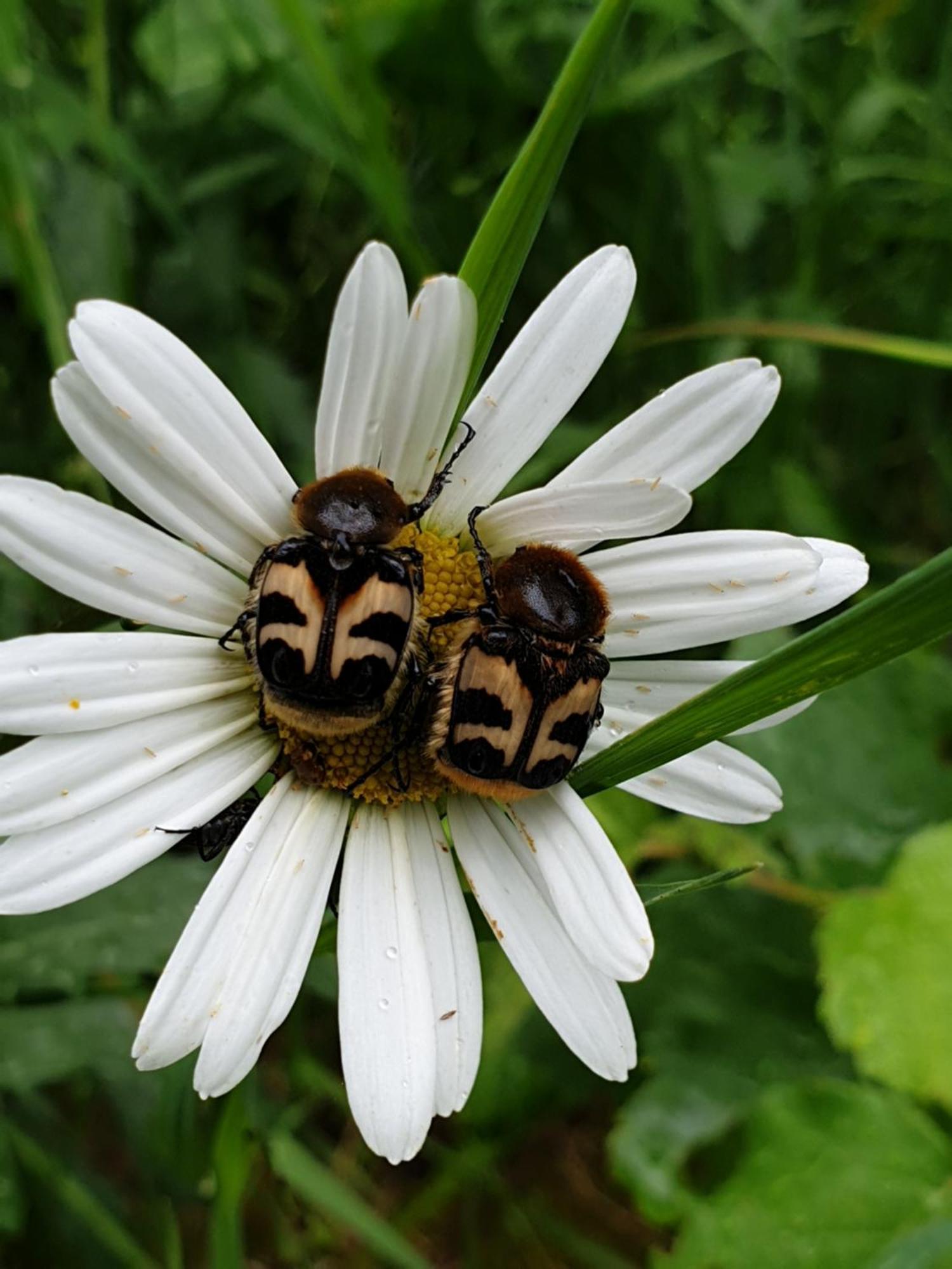 Tyforsgarden Daire Mjolnartorpet Dış mekan fotoğraf